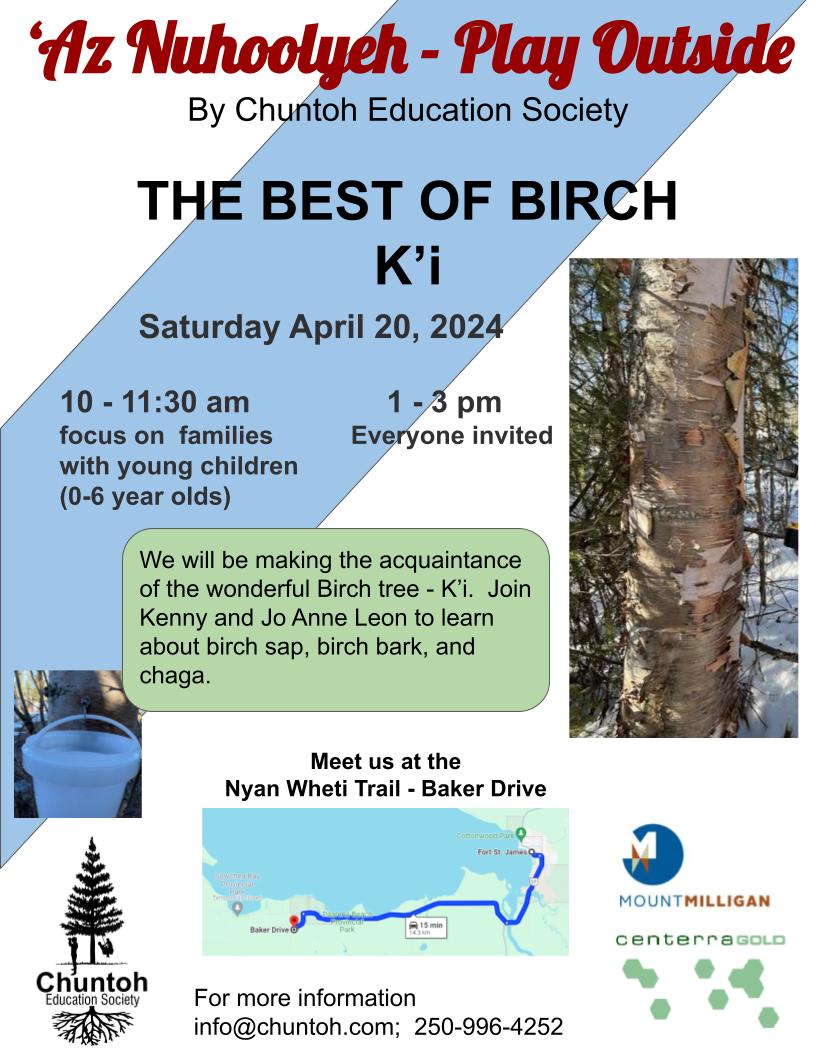 Birch tree, birch sap bucket, and map to the Nyan Wheti Trail south of Fort St. James, BC.
